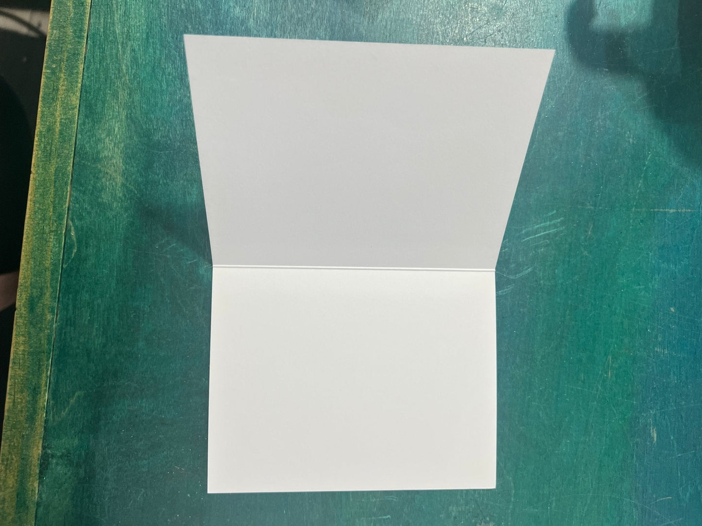 Birds of Texas Coast Note Cards