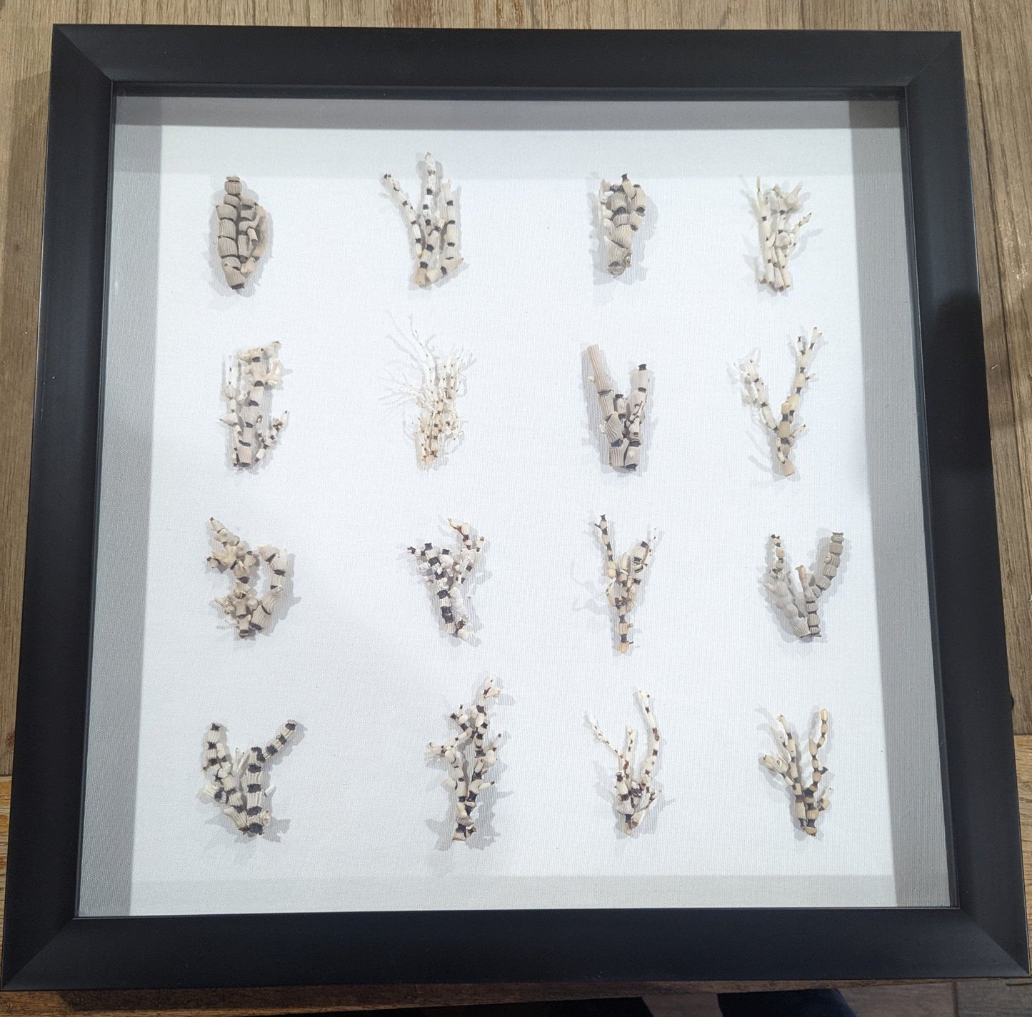 Black Frame Bamboo Princess Coral Shadow Box – Coastal Wall Art & Home Decor (20x20)
