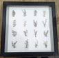 Black Frame Bamboo Princess Coral Shadow Box – Coastal Wall Art & Home Decor (20x20)