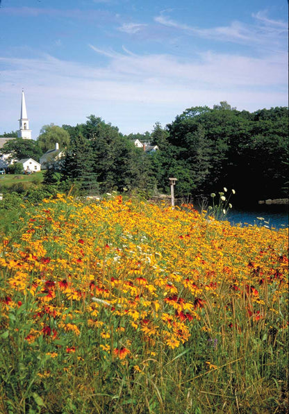 Maine Southern Coast