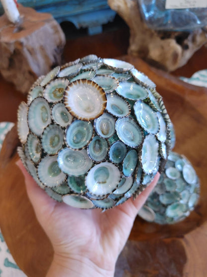 Blue Green Limpet Sphere Ball