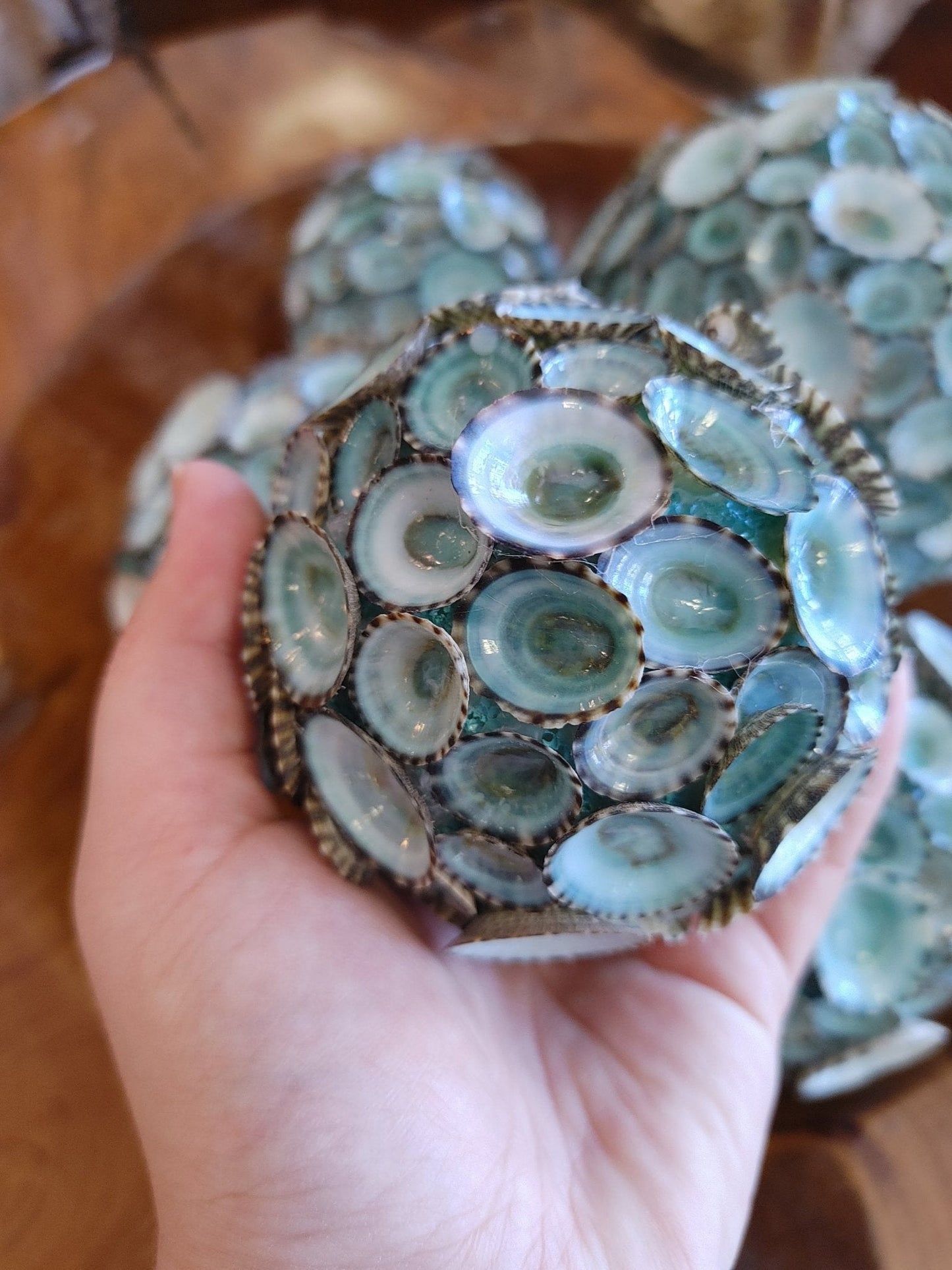 Blue Green Limpet Sphere Ball