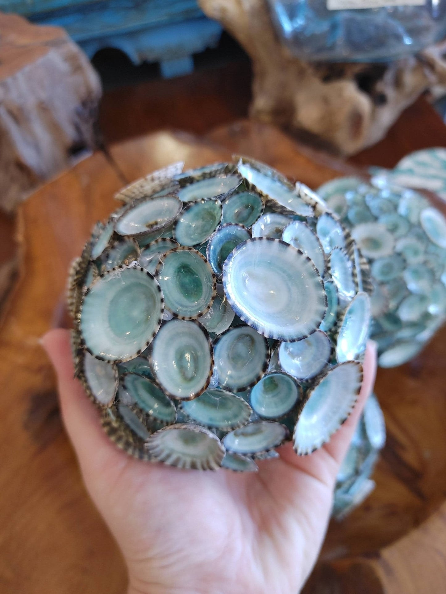Blue Green Limpet Sphere Ball