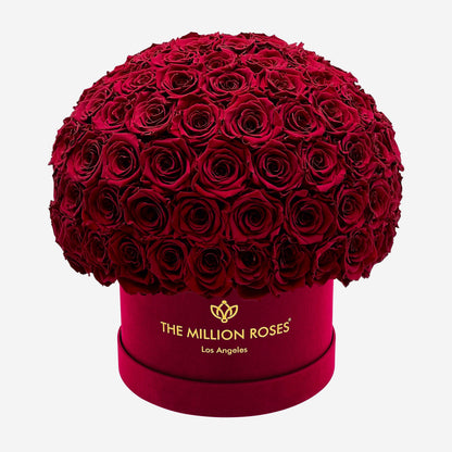 Supreme Bordeaux Suede Superdome Box | Burgundy Roses