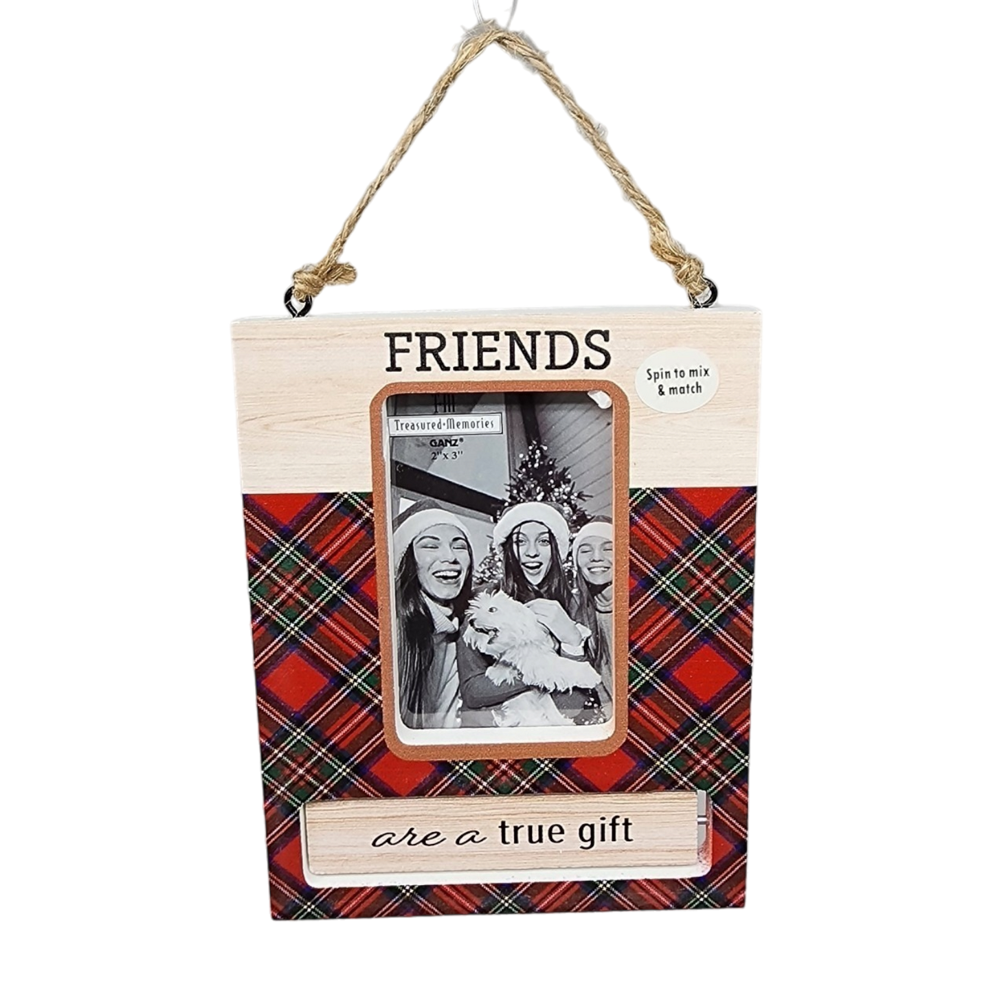 Spinning Frame Ornament - Friends
