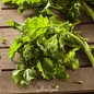 Rapini Raab Broccoli – 100 Seeds