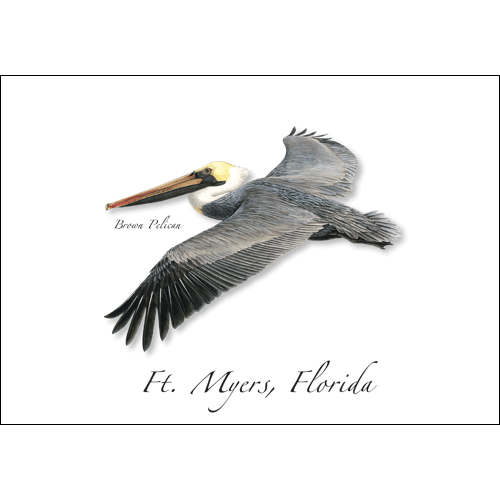 Brown Pelican Greeting Card – 5" x 7" with Envelope