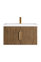 Columbia 31.5" Single Vanity Cabinet