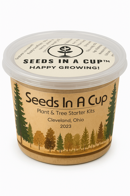 English Ivy Vine | Seed Starter Grow Kit | Seeds In A Cup®