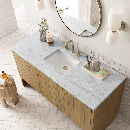 Hudson 60" Single Vanity Cabinet