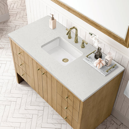 Hudson 48" Single Vanity Cabinet