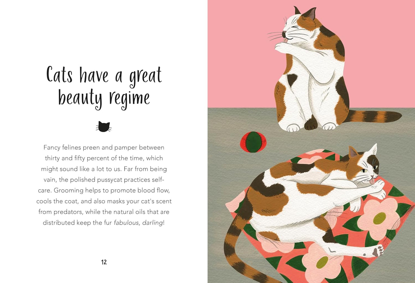59 Things You Should Know About Your Cat (HC)