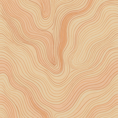 Canyon Lines Wallpaper