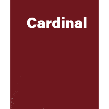 Jeeper Flower Rhinestone Tee Short or Long  Sleeve