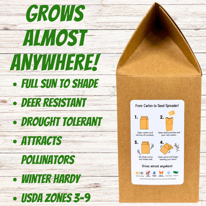 Dutch White Clover Eco-Friendly Seeding Kit