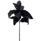 17"FUR LAMB'S EAR SPRAY BLACK