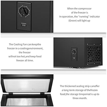 Chest Freezer