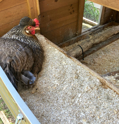 Hemp Chicken Horse Animal Bedding Litter  - Organic USA Grown