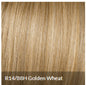 CLIP-IN BANGS by Hairdo Color