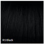 CLIP-IN BANGS by Hairdo Color