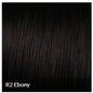 CLIP-IN BANGS by Hairdo Color