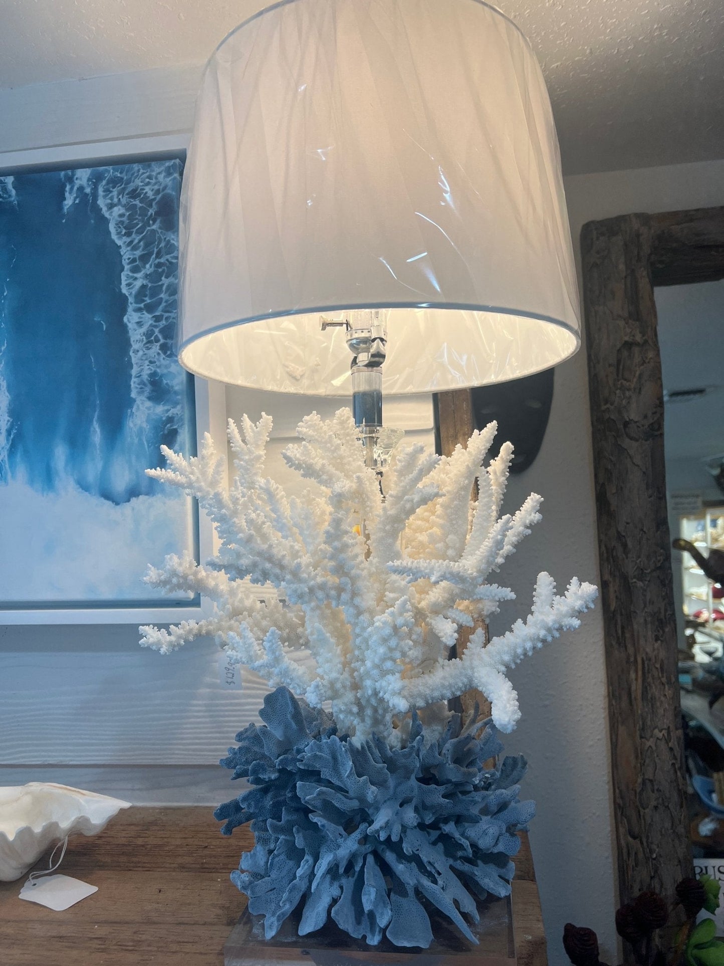 Coral Lamps
