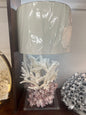 Coral Lamps