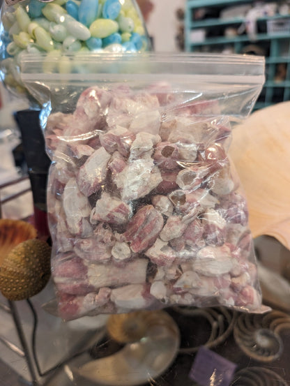 Crafting Barnacles – Gulf of America