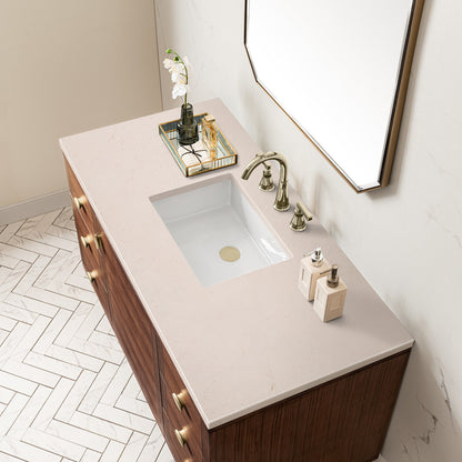 Amberly 48" Single Vanity Cabinet, Mid-Century Walnut