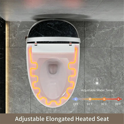 CTDV Premium Smart Tankless Bidet Toilet W/ Adjustable Heated Seat, Water & Air Dryer (96174253)