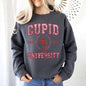 Cupid University, College, University, Love, Sweatshirt, Valentine's Day