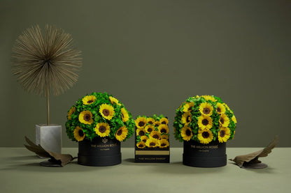 Square Black Box | Sunflowers
