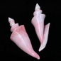 Cut Pink Conch Center Spiral - Strombus gigas