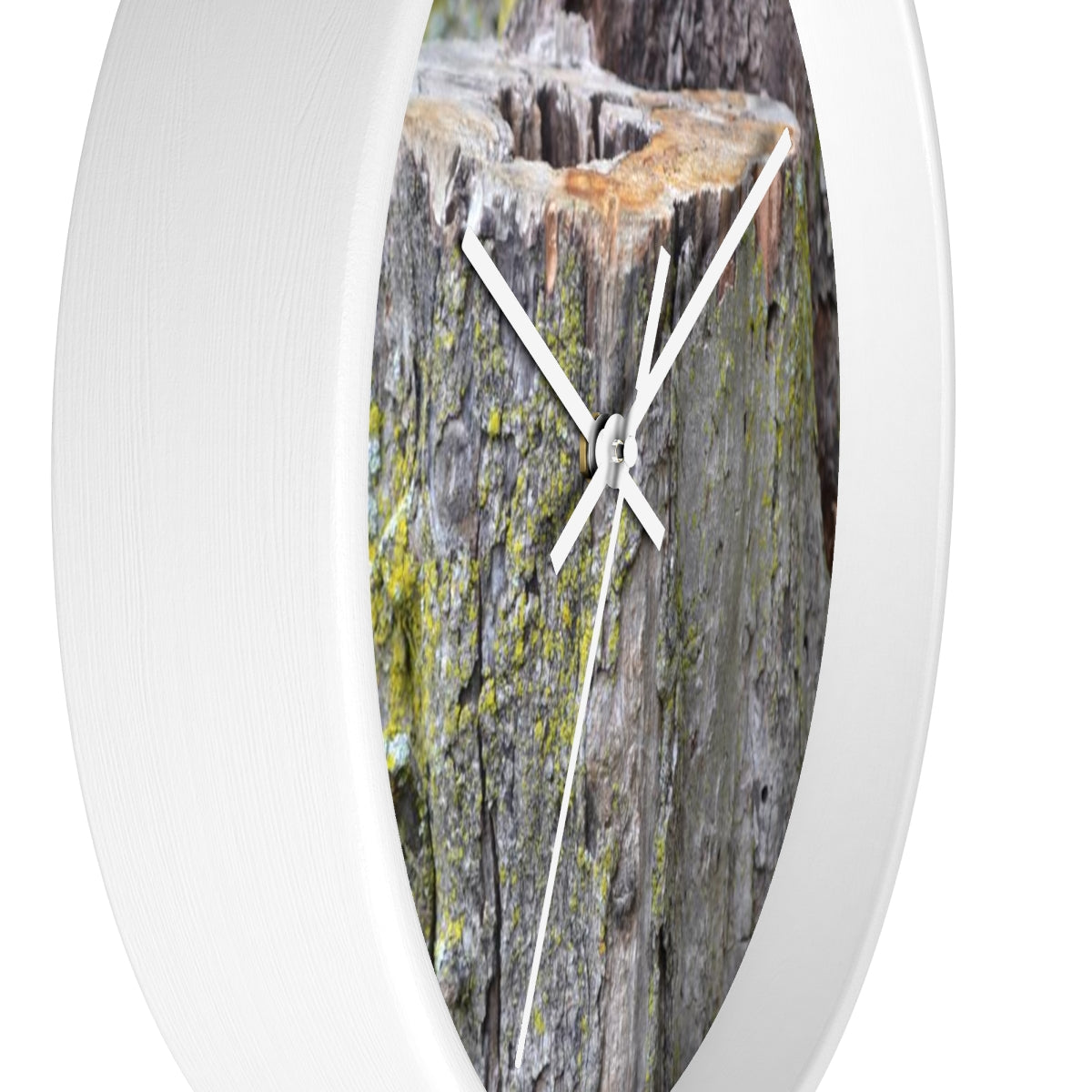 Tree Stump Wall clock