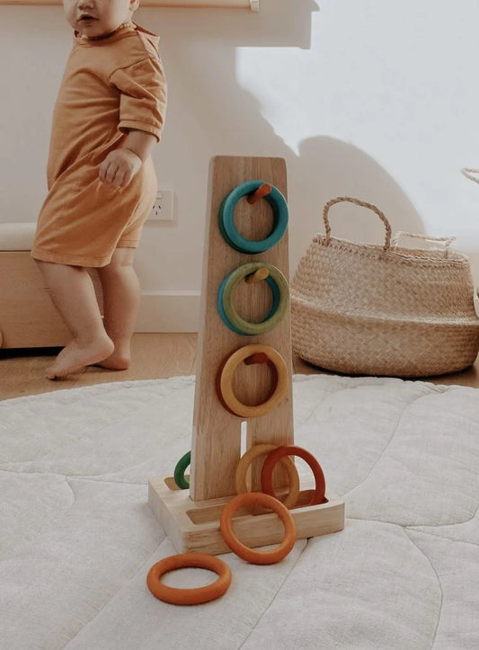 QToys Australia (USA) Sorting Ring Toss | Kitchen + Metal