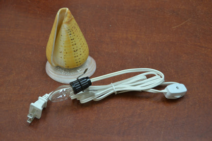 Spotted Orange Cone Sea Shell Table Lamp | Lighting | Kitchen + Metal