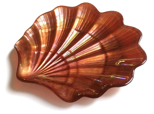 Shell Plate laying down on the table