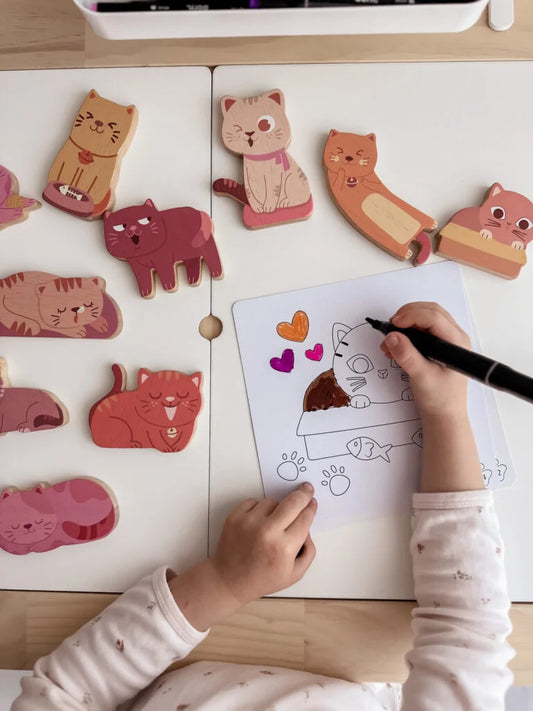 QToys Australia (USA) Cat Play Set & Colouring | Kitchen + Metal