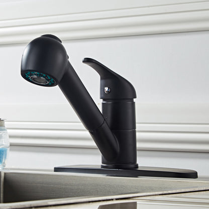 black kitchen faucet front view