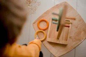 QToys Australia (USA) Sorting Ring Toss | Kitchen + Metal