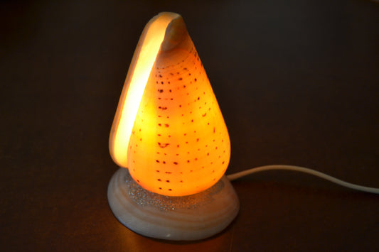 Spotted Orange Cone Sea Shell Table Lamp | Lighting | Kitchen + Metal