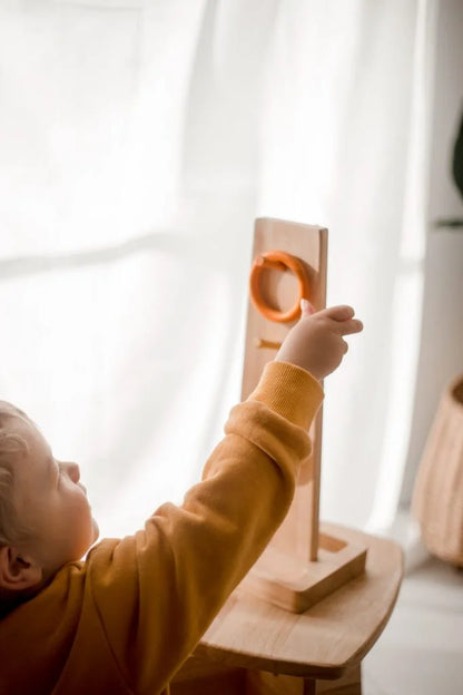 QToys Australia (USA) Sorting Ring Toss | Kitchen + Metal