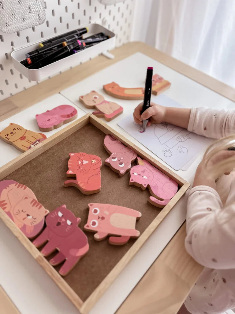 QToys Australia (USA) Cat Play Set & Colouring | Kitchen + Metal