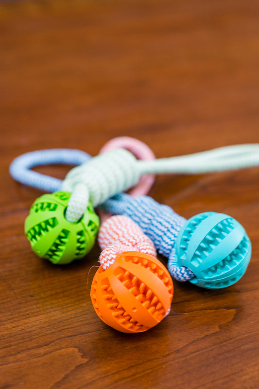 Durable Rubber Ball Chew Toy with Cotton Rope | Family Pet | Kitchen + Metal