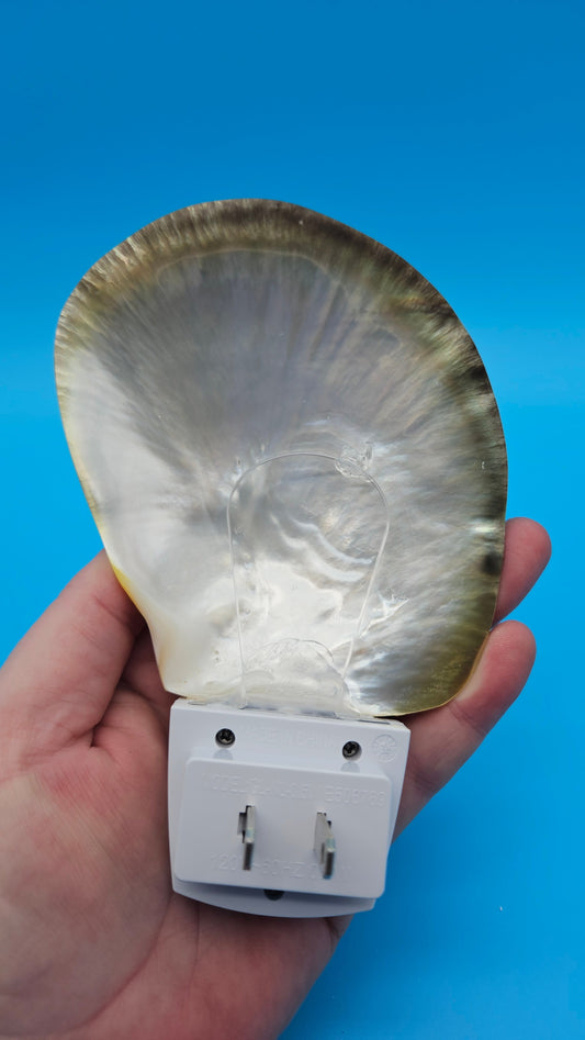 Black Lip Mother of Pearl Shell – Premium Coastal LED Night Light Décor