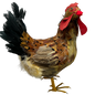 Feathered Chicken Figurine