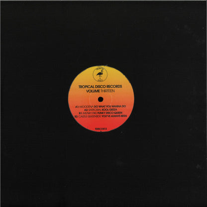 Tropical Disco Records Volume Thirteen (VINYL) | Very Good Plus (VG+) Generic