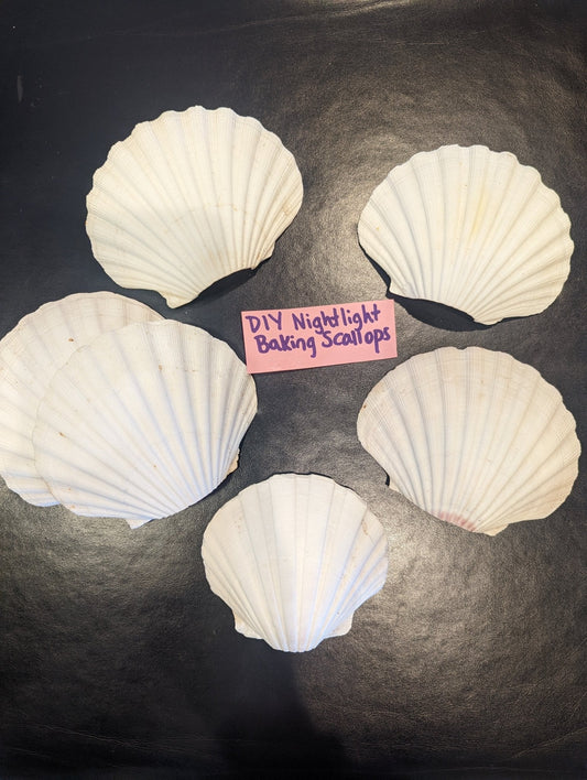 DIY Baking Scallops for Night Lights