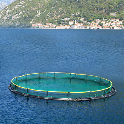 13 x 33ft Garden Netting Heavy Duty PE Anti Bird Netting Plants Fruits Tree Vegetables Protection Netting Net