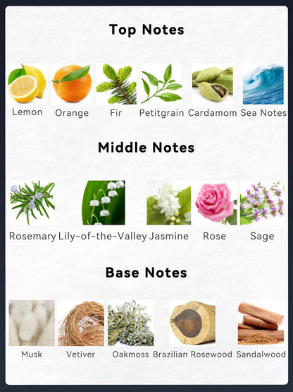 3.4 Fl Oz Men's Eau De Toilette Spray, Long-Lasting Perfume, Notes Of Lemon, Orange, Cardamom Flavor, Perfect For Dating, Daily Life, Parties, Gift Giving